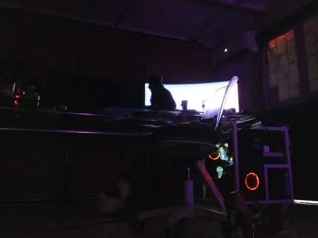 Offline angelinasia on BongaCams