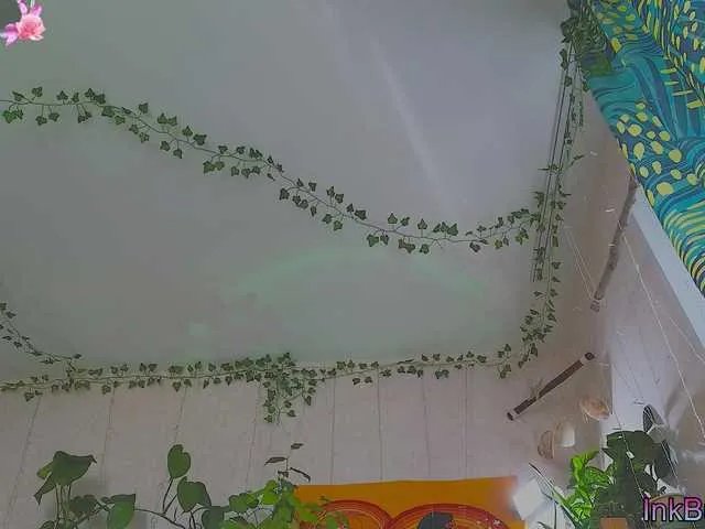 Freechat DeadButterfly on BongaCams