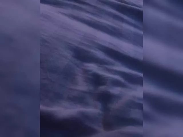 Offline FODFOD on BongaCams