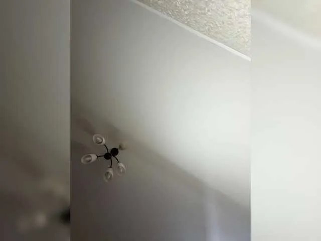 Offline HellMor on BongaCams