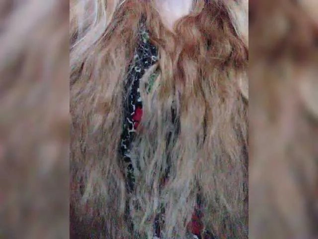 Offline Isabel-LM on BongaCams