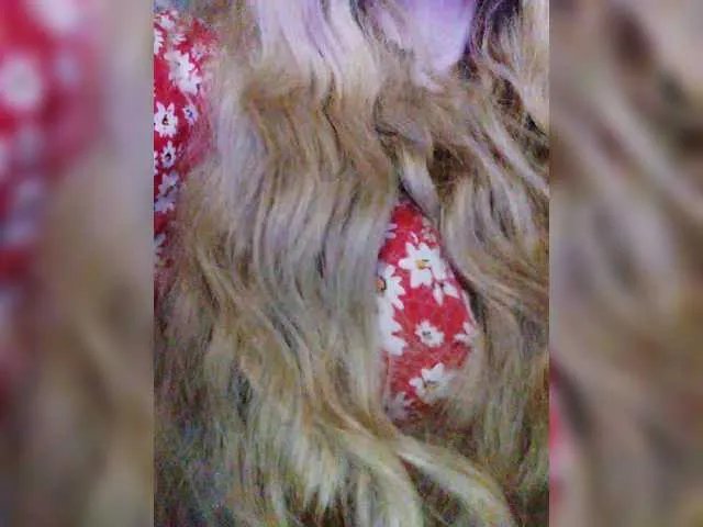 Offline Isabel-LM on BongaCams