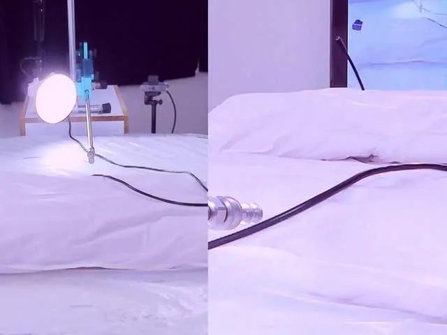 Offline Kinky-cloe on BongaCams