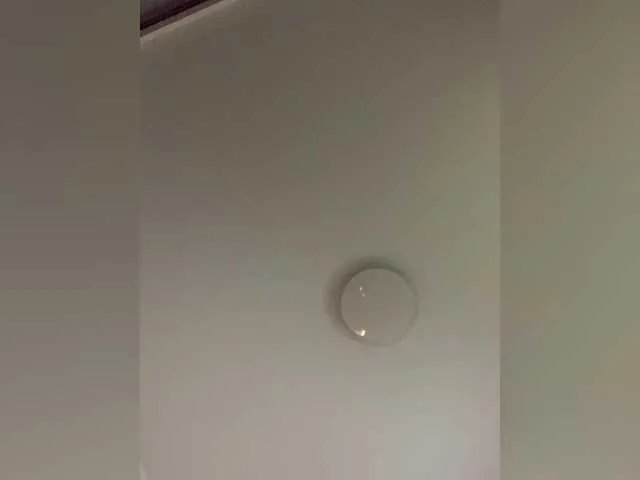 Offline OriginalHOOLi on BongaCams