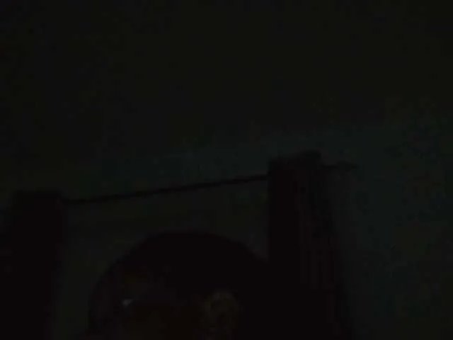 Offline sexxybunny on BongaCams