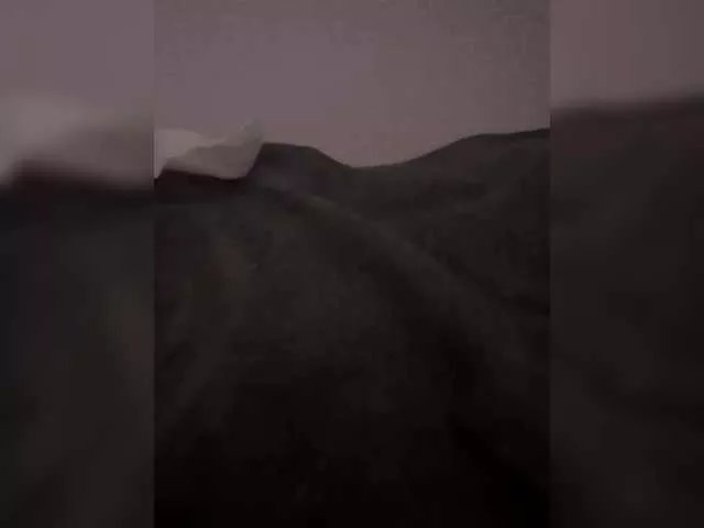 Offline two-foxes on BongaCams