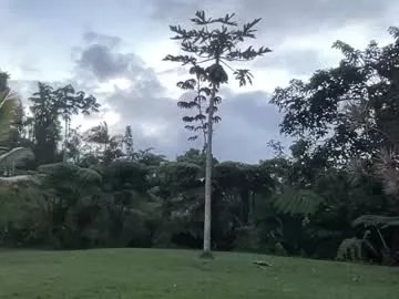 Freechat kaileeshy on Chaturbate