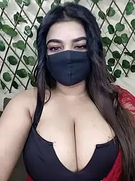 Freechat Bold-Cat on StripChat