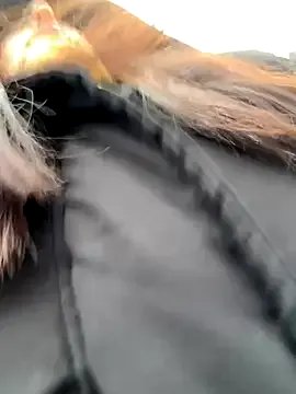 eveangelll on StripChat 