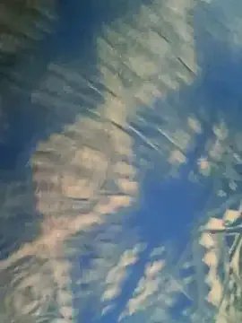 Freechat husa_Malikaa on StripChat