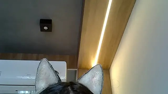 Freechat SkinnyKitten on StripChat