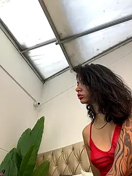 TweetiePieXXX on StripChat 